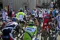 insubria_37