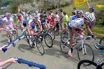 lbl_238.JPG