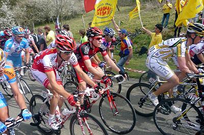 lbl_240.JPG