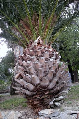 sanremo_13.JPG