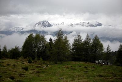 aprica_07.JPG