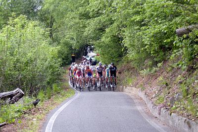 aprica_50.JPG